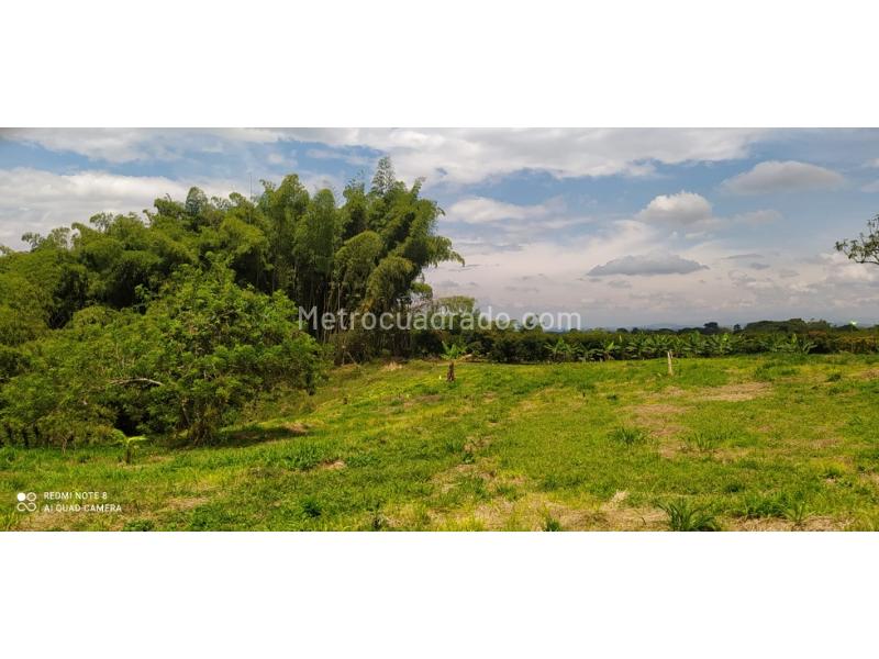 Lote en Venta, Caimo, Armenia - Vista 4