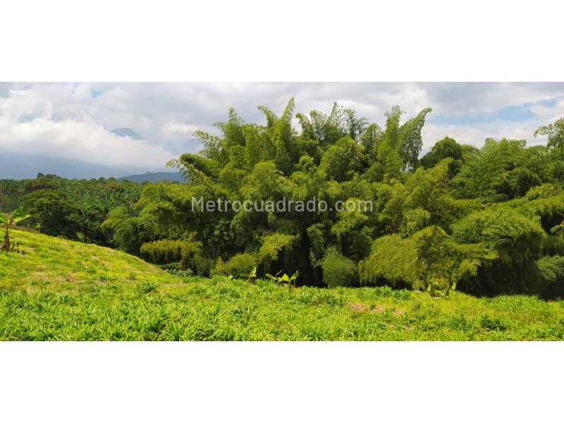 Lote en Venta, Caimo, Armenia - Vista 5
