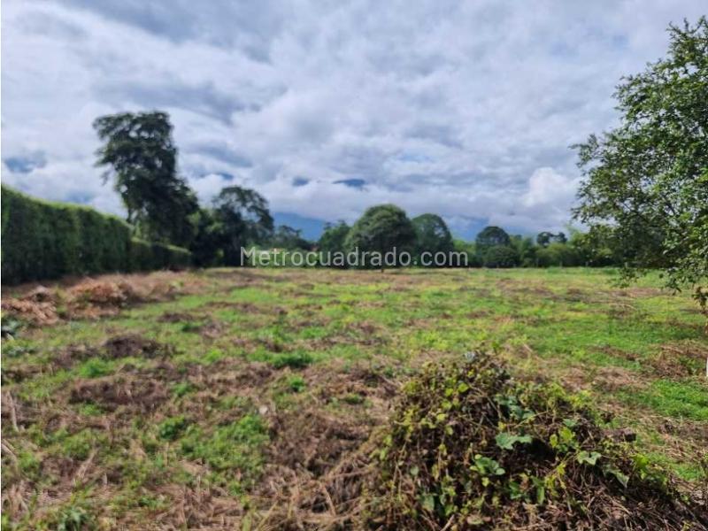 Lote en Venta, El Caimo, Armenia - Vista 3