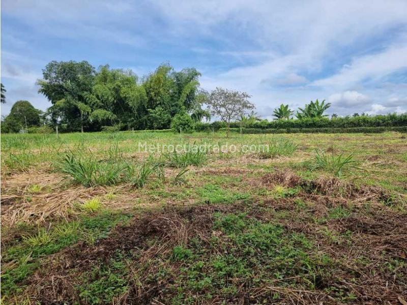 Lote en Venta, El Caimo, Armenia - Vista 4