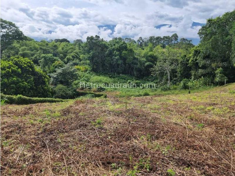 Lote en Venta, El Caimo, Armenia - Vista 5