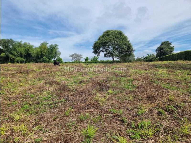 Lote en Venta, El Caimo, Armenia - Más