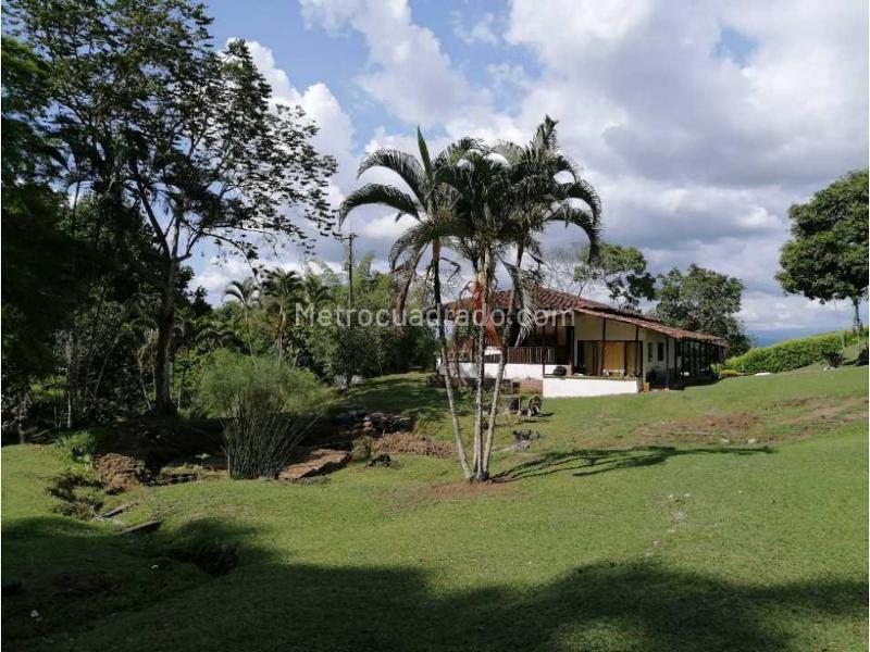 Finca En Venta, Rivera Alta