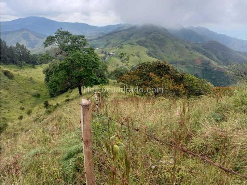 Finca En Venta, Roldanillo Via Al Dovio