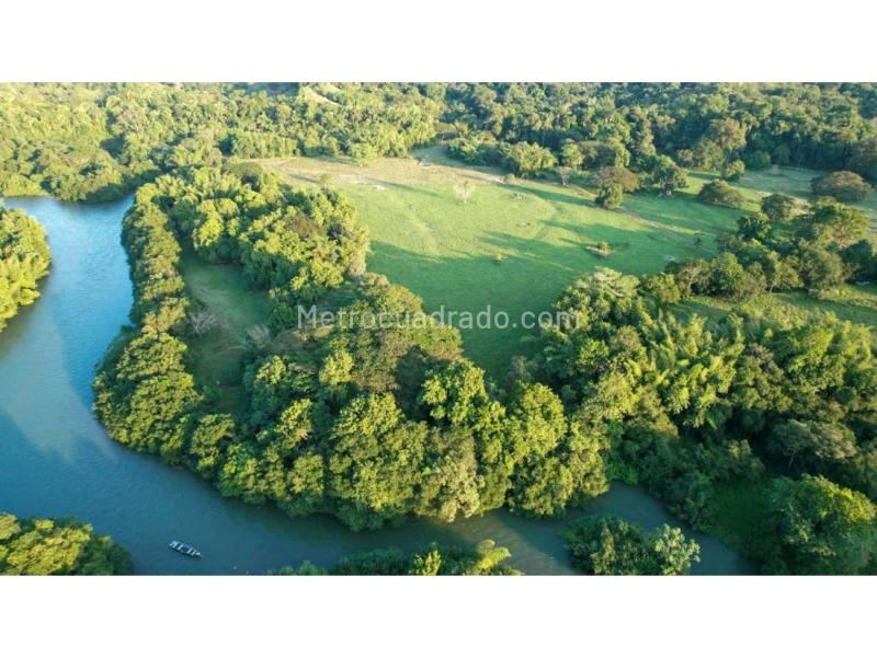 Finca En Venta, La Dorada Rio La Miel