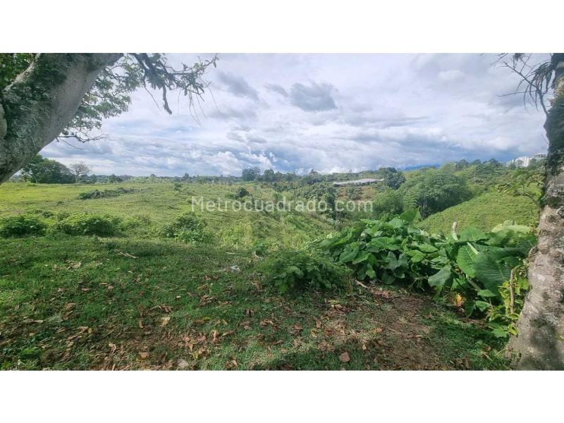 Lote en Venta, Av 19 Norte De Armenia, Armenia - Vista 3