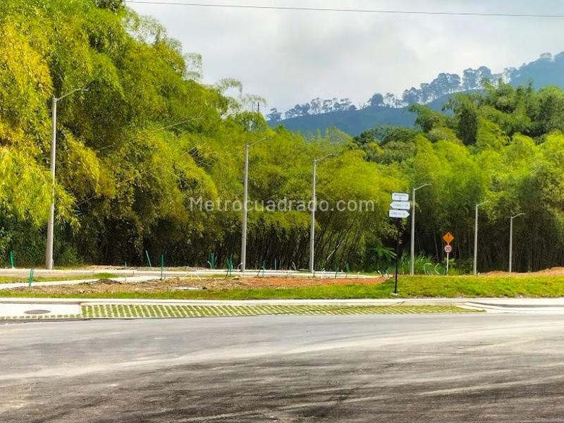 Lote en Venta, Variante La Romelia El Pollo, Dosquebradas - Vista 5