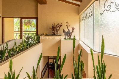 Casa de 4 alcobas en venta en Pinares De San Martin, Pereira, 544 m² · foto 6 de 15