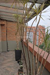 Apartamento de 4 alcobas en venta en La Abadia, Medellín, 250 m² · foto 17 de 18