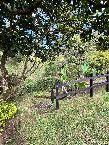 Casa de 4 alcobas en venta en Llanogrande, Rionegro, 350 m² · foto 18 de 20