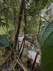 Casa de 5 alcobas en venta en El Salado, Envigado, 400 m² · foto 15 de 16