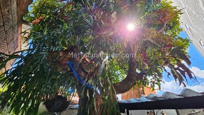 Casa de 3 alcobas en venta en Rosalpi, Bello, 114 m² · foto 20 de 20