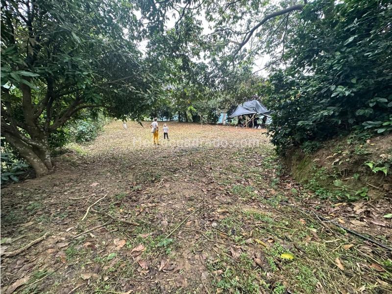 Lote en Venta, Minca, Santa Marta - Vista 2