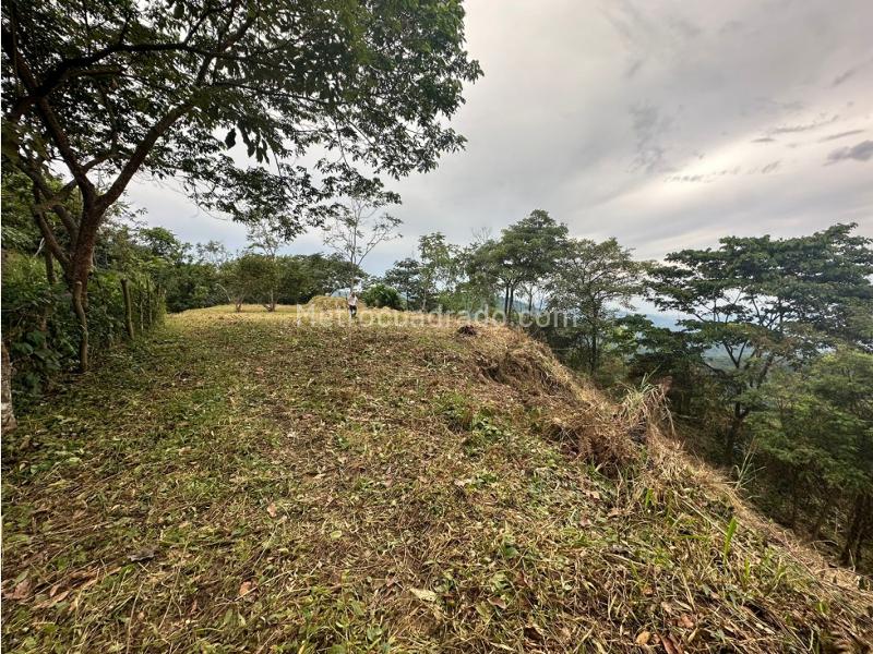 Lote en Venta, Minca, Santa Marta - Vista 3