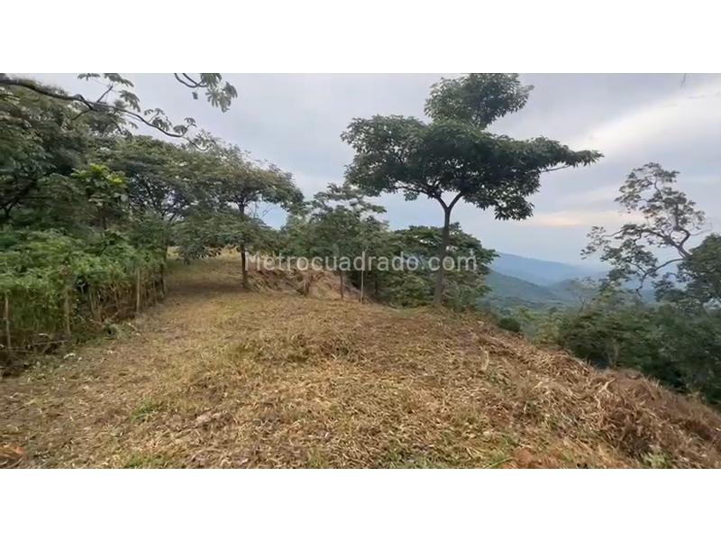 Lote en Venta, Minca, Santa Marta - Vista 4
