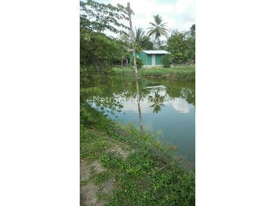 Casa de 3 alcobas en venta en Aguasnegras, Montería · foto 12 de 20