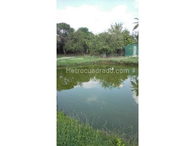 Casa de 3 alcobas en venta en Aguasnegras, Montería · foto 13 de 20