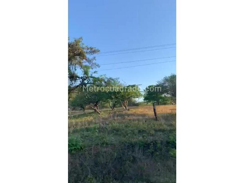 Finca En Arriendo, Arroyo Hondo