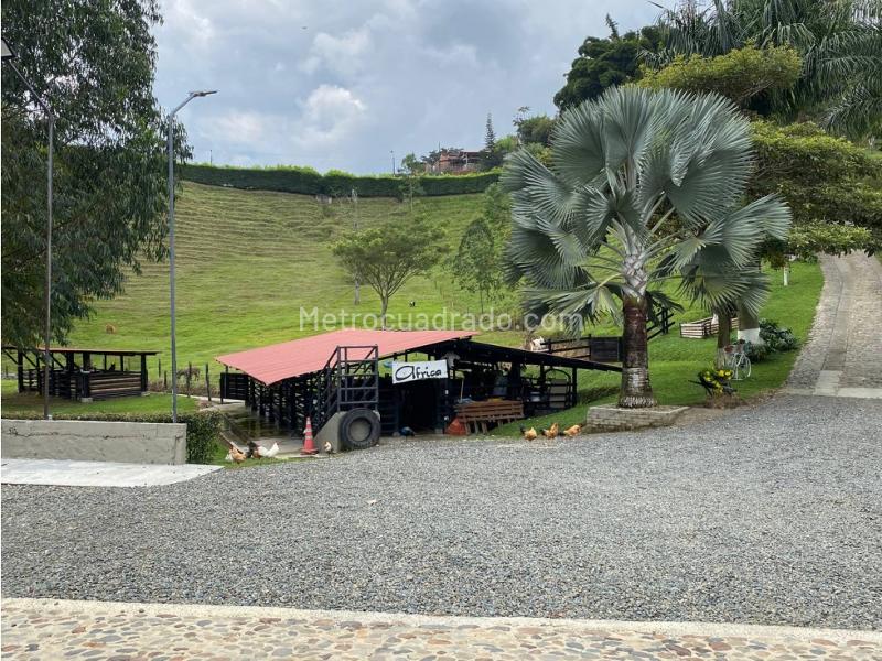 Casa – Pereira - Vista 5