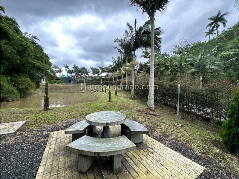 Casa – Pereira - Más