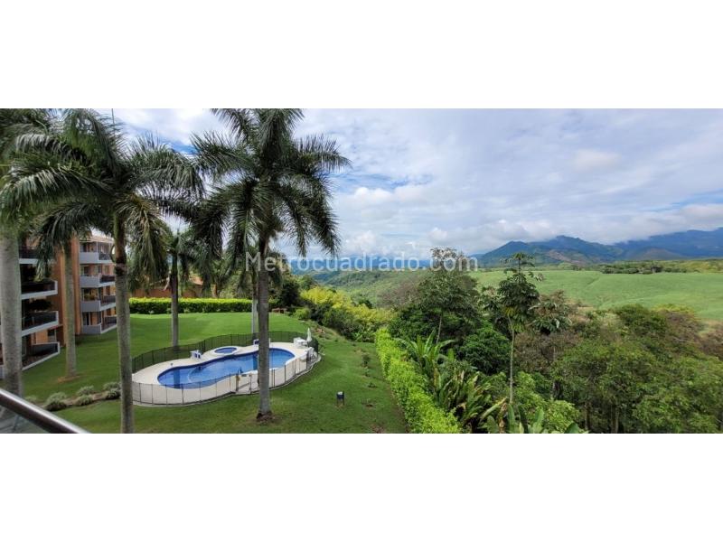 Piso – Pereira - Vista 2