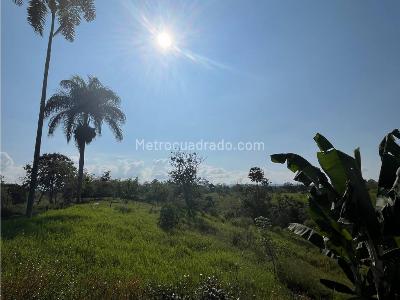 Casa en venta en La Estrella, Pereira · foto 11 de 19