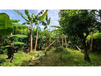 Casa en venta en Maraya, Pereira · foto 19 de 19