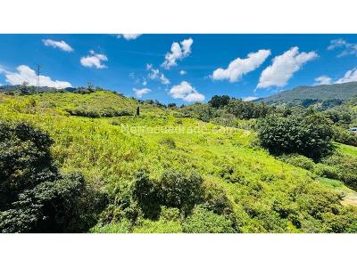 Apartamento en venta en Camino Verde, Envigado · foto 10 de 19