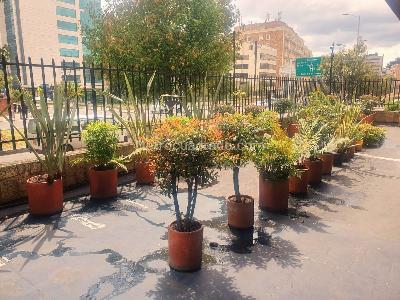 Apartamento de 3 alcobas en venta en Chico Norte Ii, Bogotá, 147 m² · foto 10 de 12