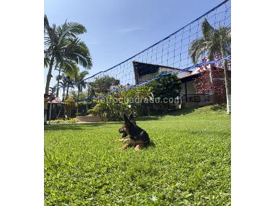 Casa de 5 alcobas en venta en Murillo, Armenia, 750 m² · foto 8 de 20