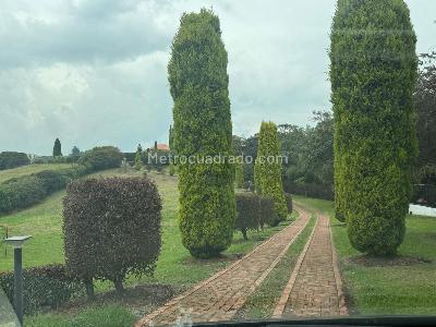 Casa de 5 alcobas en arriendo en Sindamanoy, Chía, 600 m² · foto 5 de 20