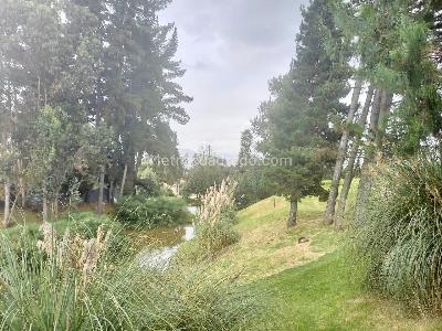 Casa en arriendo en Via Cajica Zipaquira Sector El Molino Manas, Cajicá · foto 15 de 19