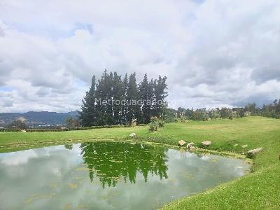 Casa en arriendo en Via Cajica Zipaquira Sector El Molino Manas, Cajicá · foto 17 de 19
