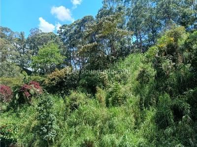 Apartamento de 3 alcobas en venta en Laureles, Medellín, 80 m² · foto 3 de 20