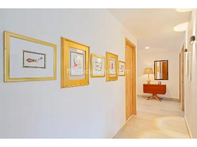 Apartamento de 4 alcobas en venta en Estadio, Medellín, 146 m² · foto 12 de 20