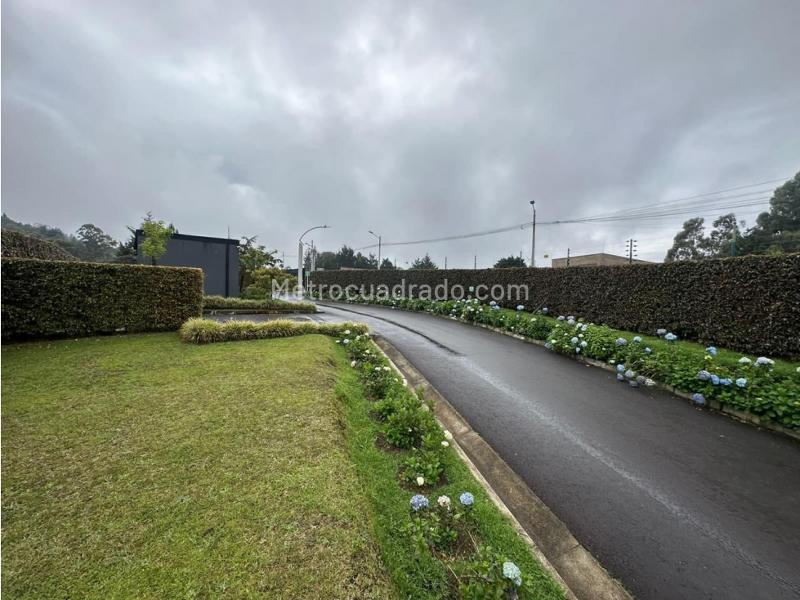 Lote en Venta, Alto De Palmas, Envigado - Vista 5