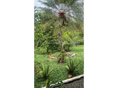 Casa en venta en Alcala, Pereira · foto 17 de 17