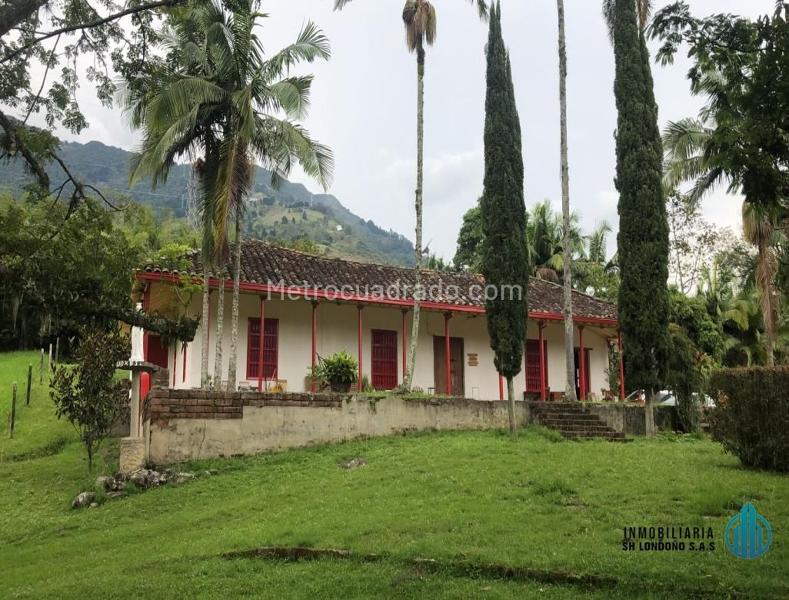 5BR Finca in Copacabana (2000 m²) - 3