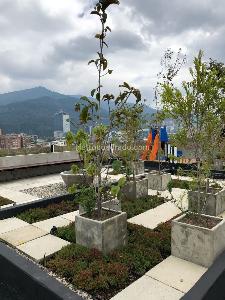 Apartamento de 3 alcobas en venta en Santa Paula Molinos, Bogotá, 126 m² · foto 3 de 20