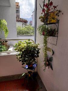 Apartamento de 4 alcobas en venta en La Aurora, Bucaramanga, 97 m² · foto 5 de 20