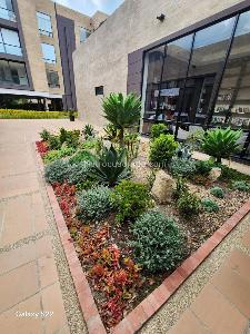 Apartamento en venta en Vereda La Balsa, Chía · foto 2 de 20