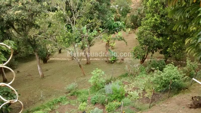 4BR Country House in Sopetran (6400 m²) for Sale - 2