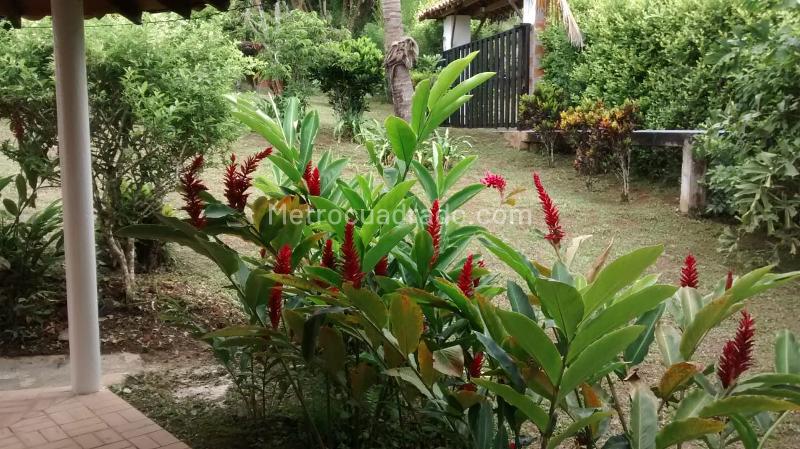 4BR Country House in Sopetran (6400 m²) for Sale - 3
