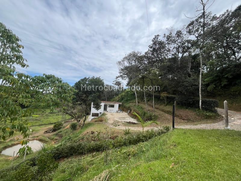 Apartamento en Arriendo, Rionegro, Rionegro - 5