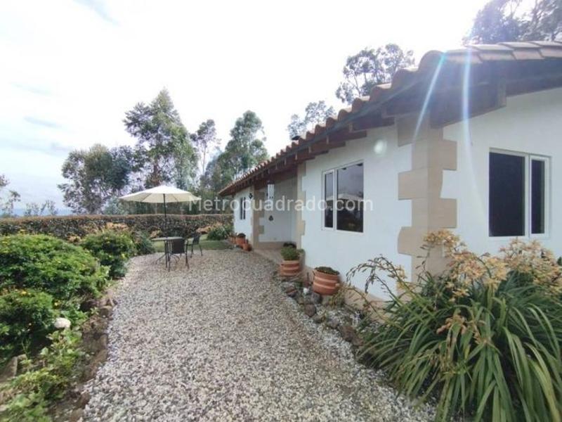 Country House for Rent Near Airport in Santa Elena - 3