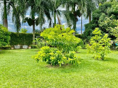 Casa de 3 alcobas en venta en Rozo, Palmira, 480 m² · foto 15 de 19