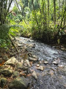 Casa en venta en Combia, Pereira · foto 14 de 15