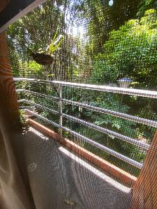 Casa de 3 alcobas en venta en Villa Olimpica, Pereira, 120 m² · foto 9 de 16