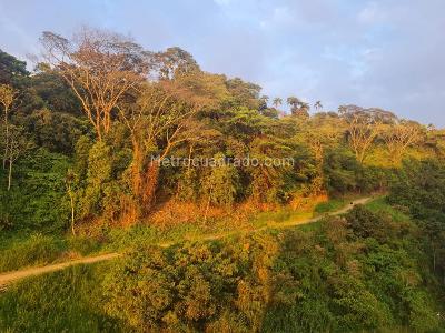 Apartamento en venta en Poblado I, Pereira · foto 2 de 10