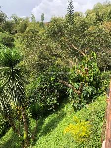 Casa en venta en Pereira · foto 11 de 20